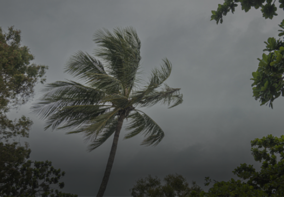 Cyclone